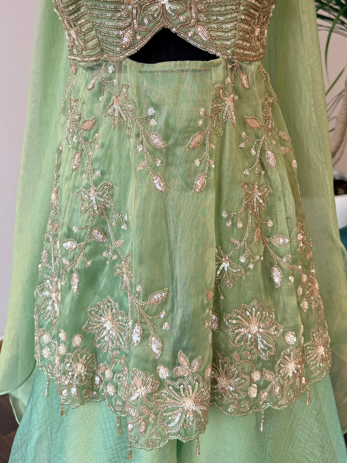 Pastel Pistachio Green color Bids Sequence Embroidery work Sharara set BLS138